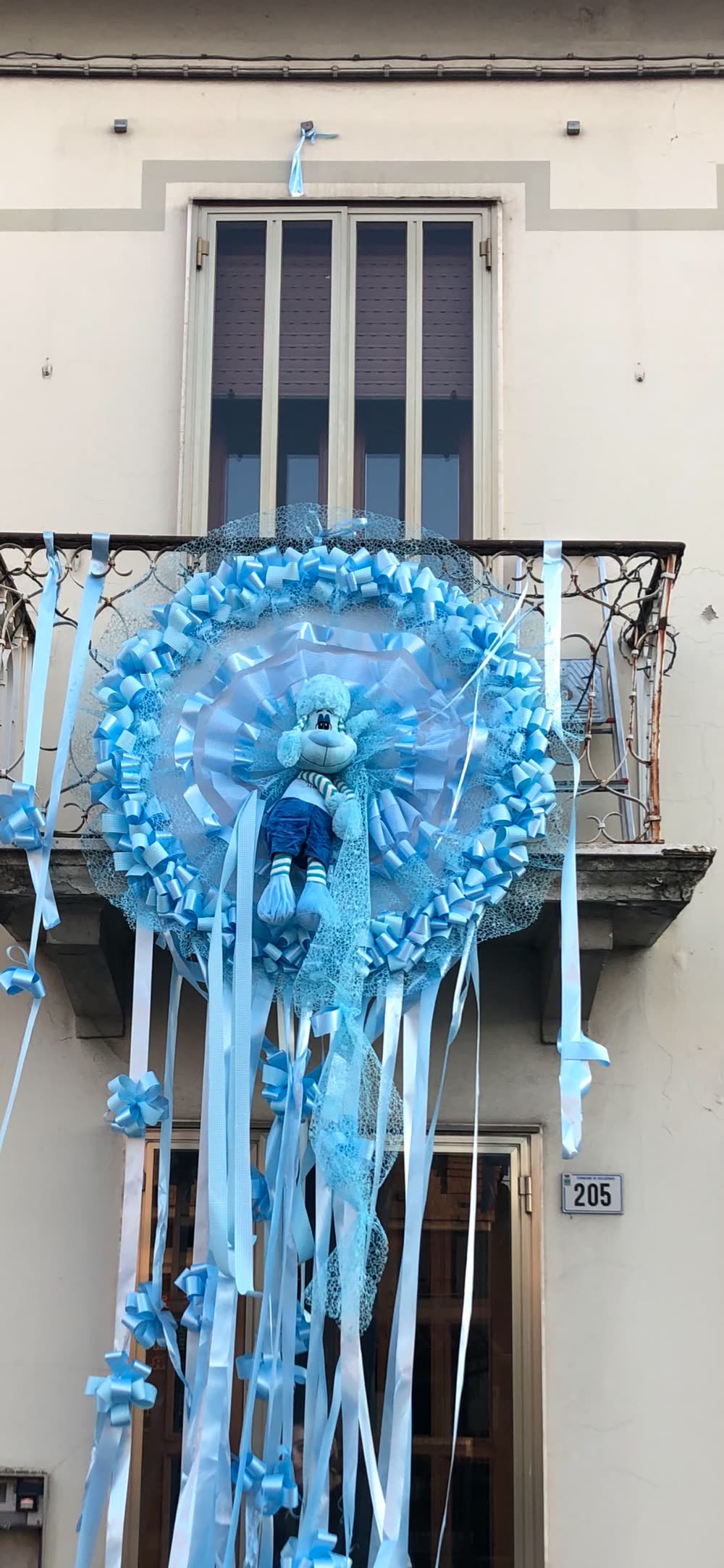 Tondo azzurro, con orsetto