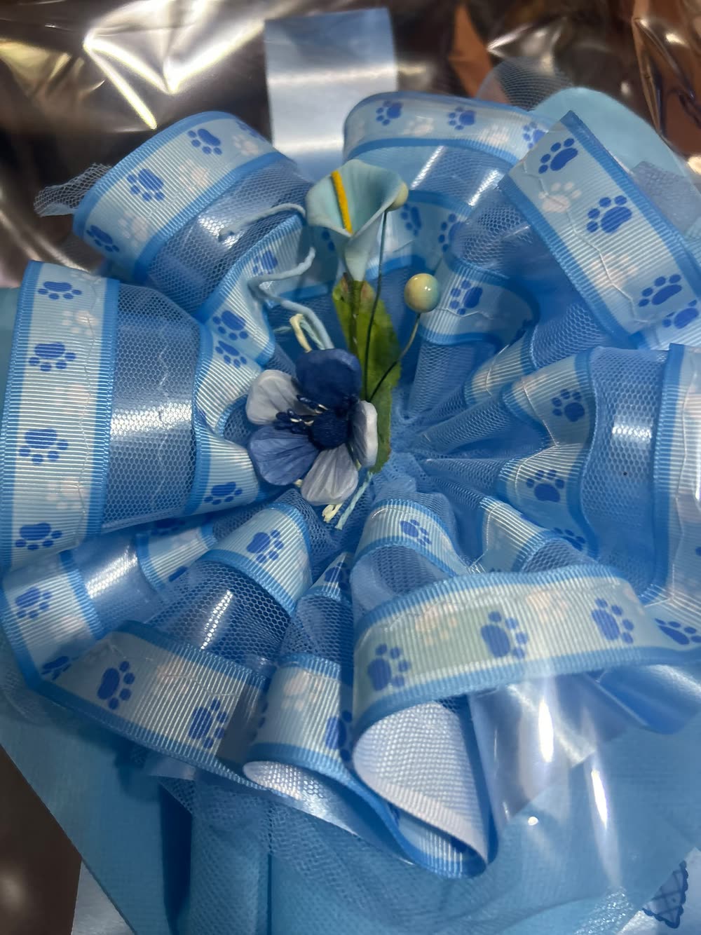 Tondo azzurro, nastro a zampette